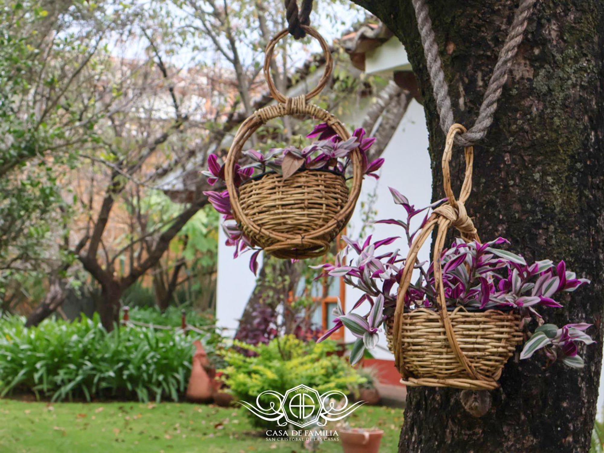 Hotel Casa De Familia De San Cristobal San Cristóbal de Las Casas 외부 사진